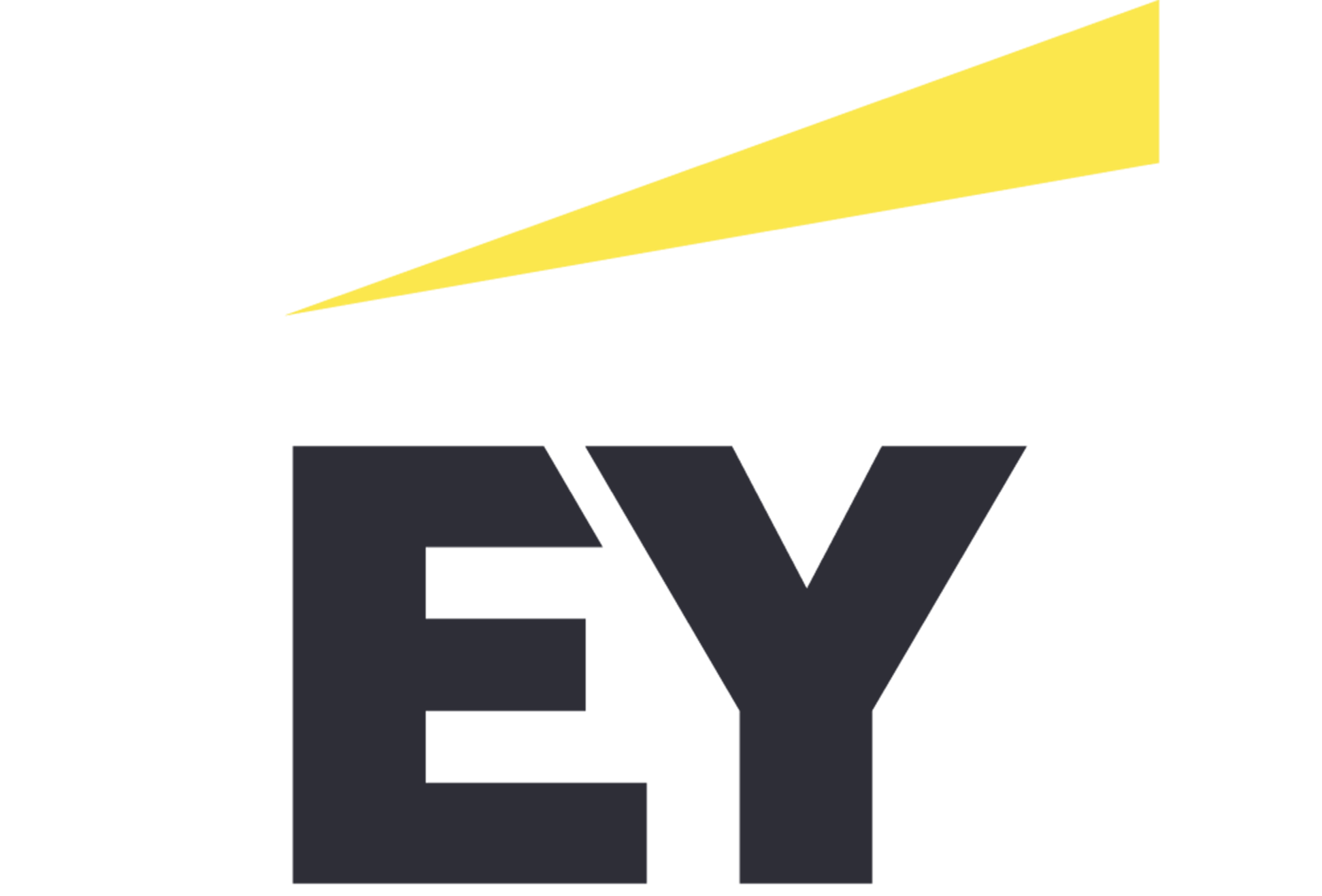 Company Logo 12